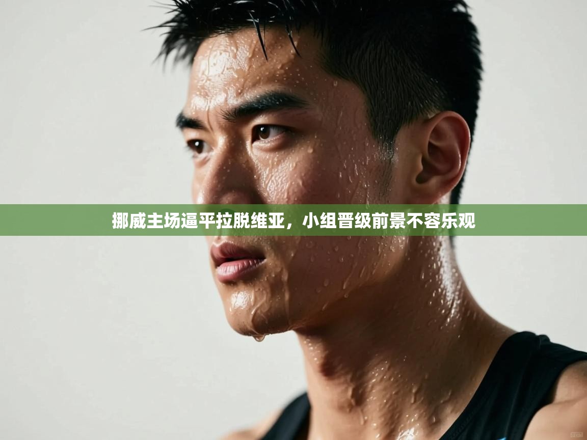 挪威主场逼平拉脱维亚,小组晋级前景不容乐观 第2张