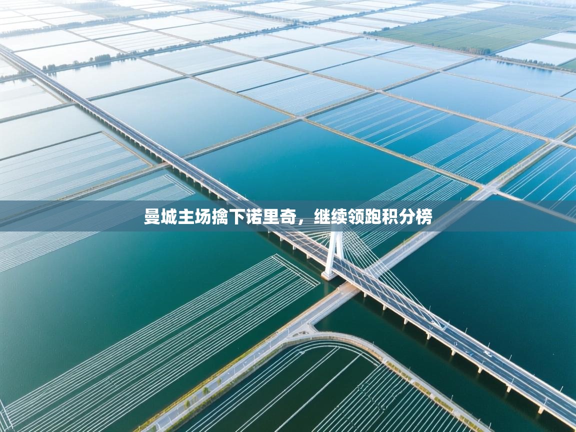 曼城主场擒下诺里奇，继续领跑积分榜  第1张