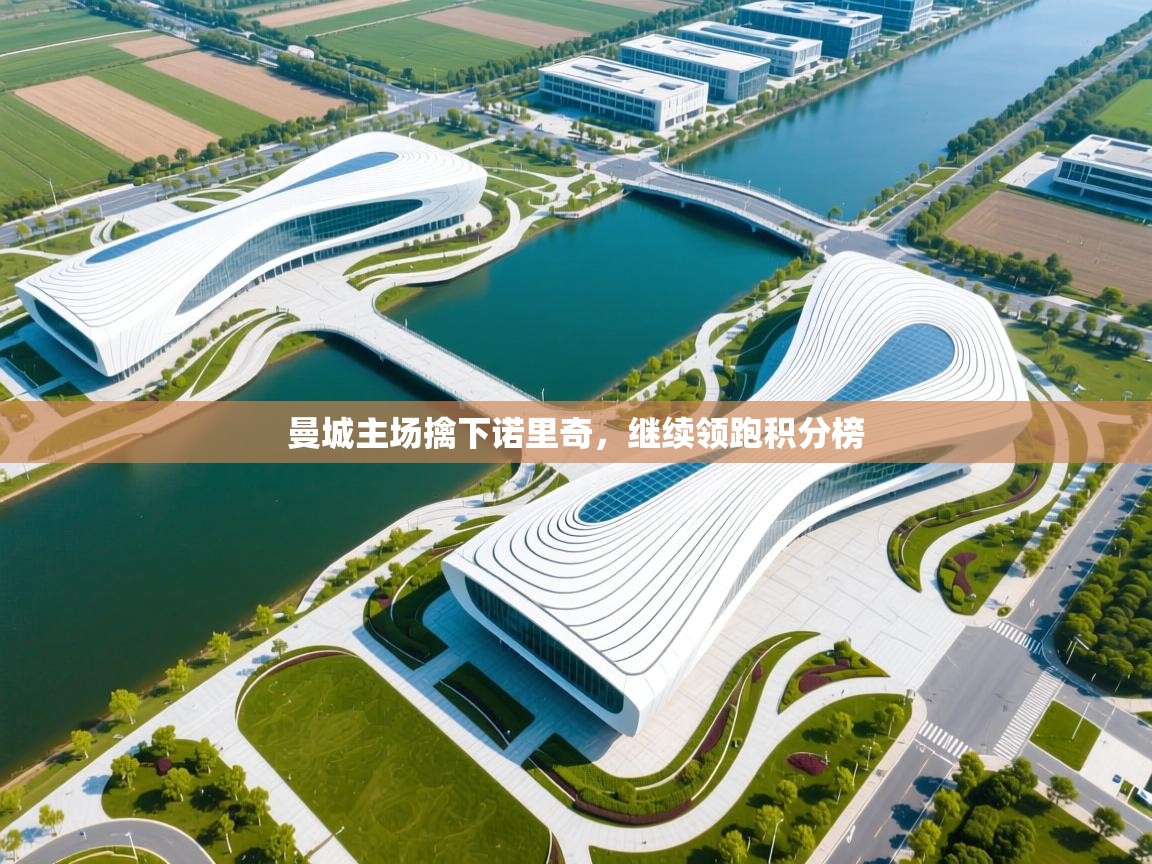 曼城主场擒下诺里奇，继续领跑积分榜  第2张