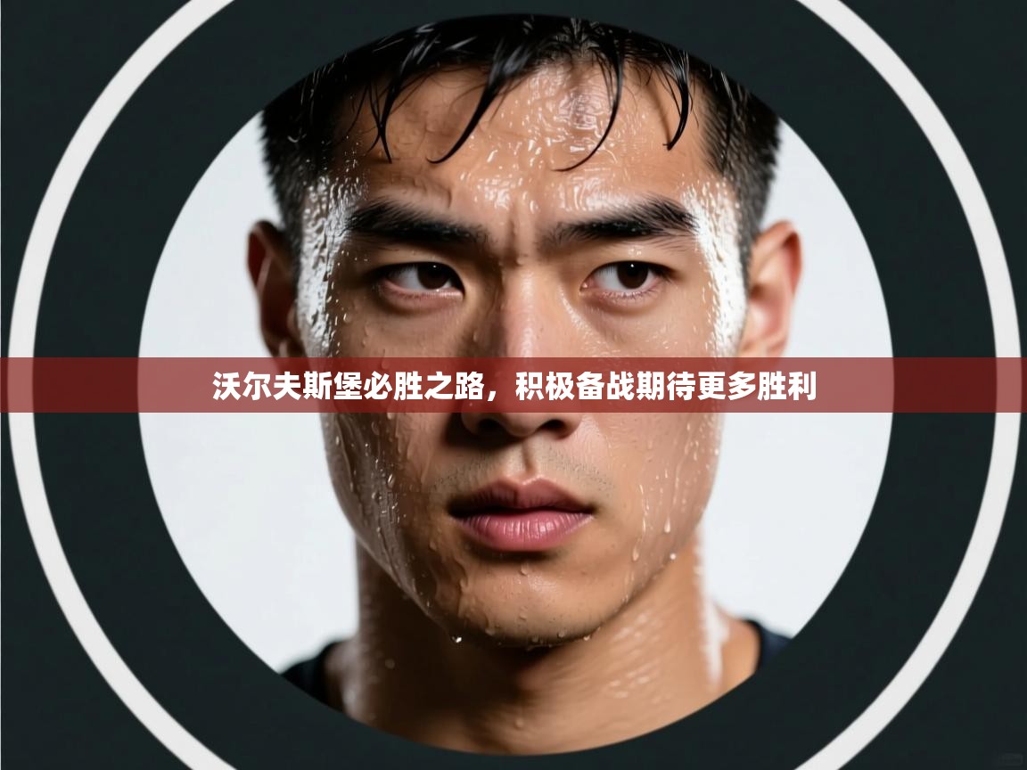 沃尔夫斯堡必胜之路，积极备战期待更多胜利  第2张