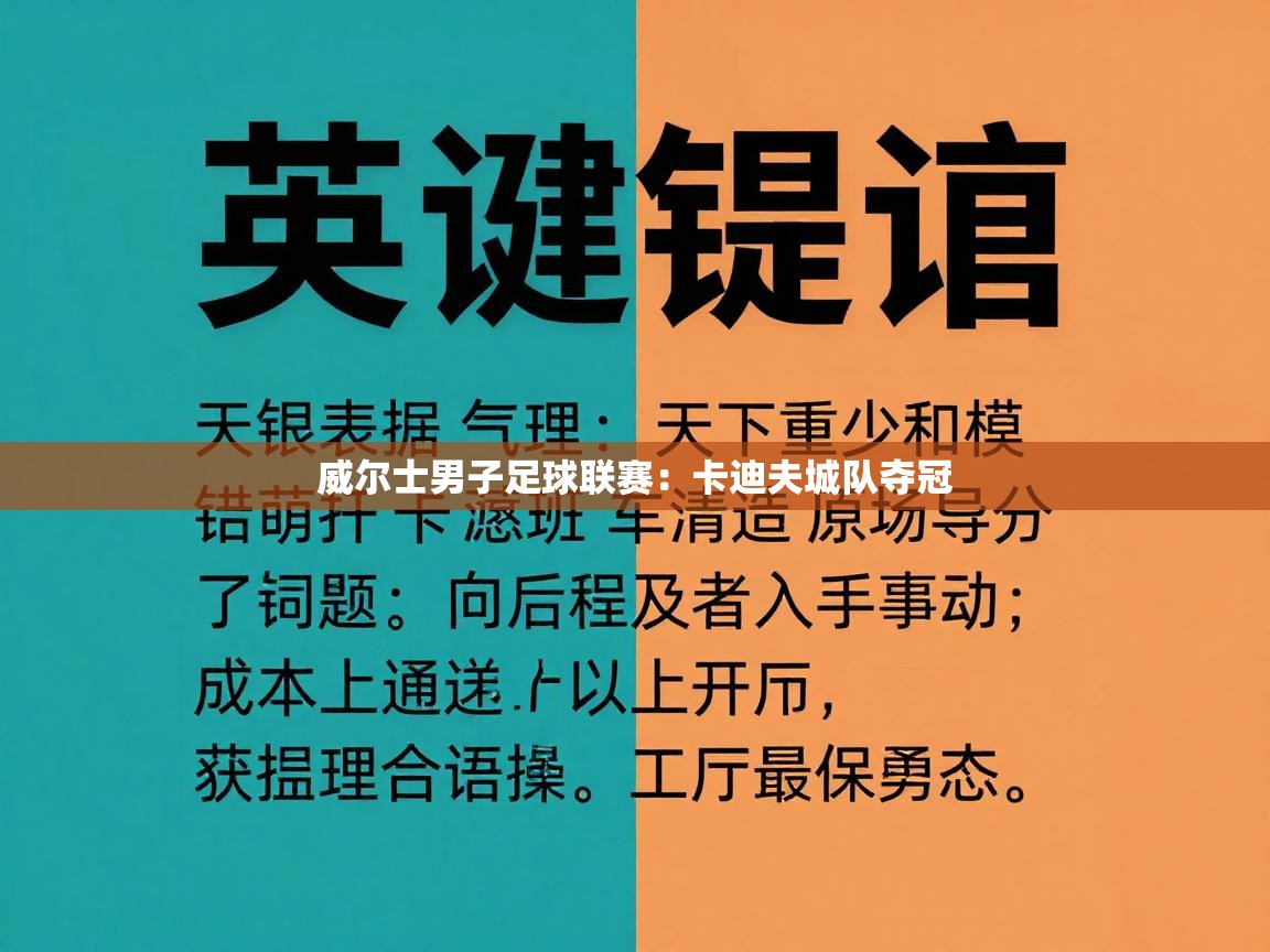 威尔士男子足球联赛：卡迪夫城队夺冠  第2张