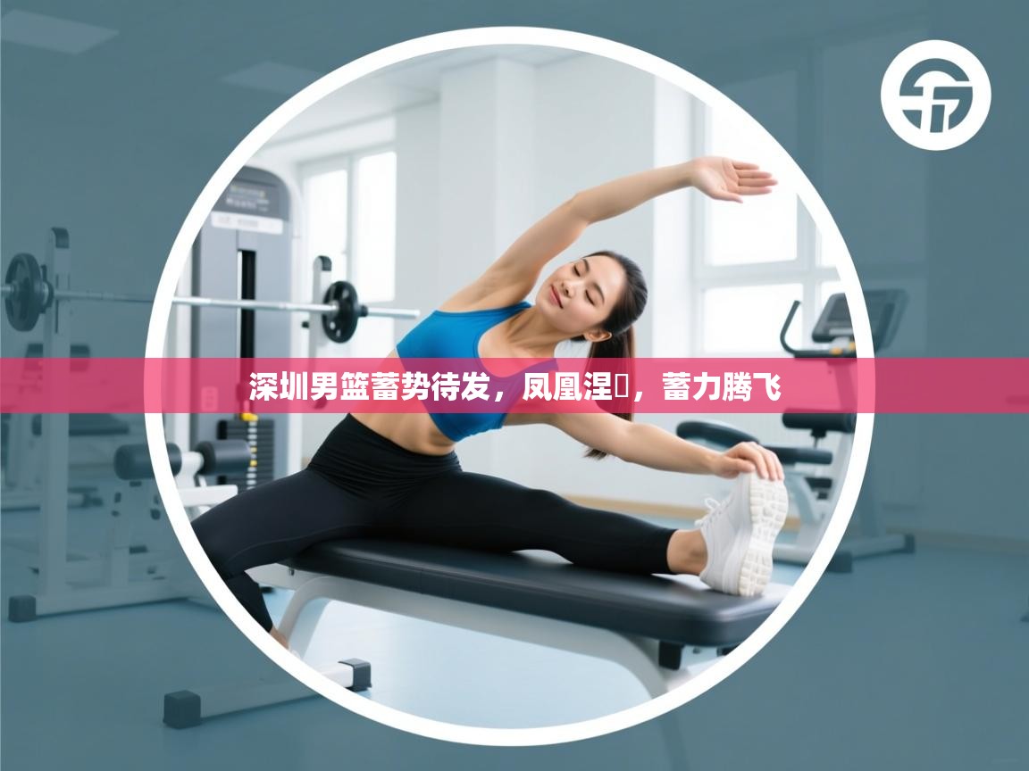 深圳男篮蓄势待发,凤凰涅槃,蓄力腾飞 第2张